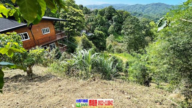 橫山林地-15