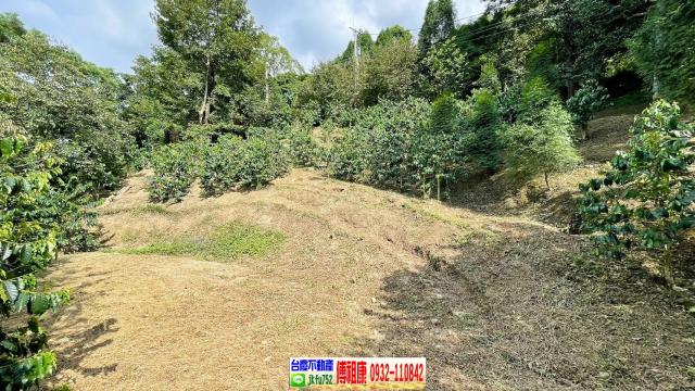 橫山林地-2