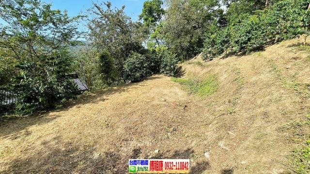 橫山林地-3