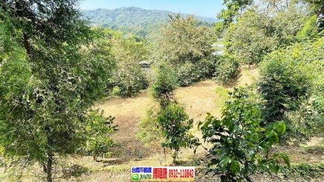 橫山林地-5