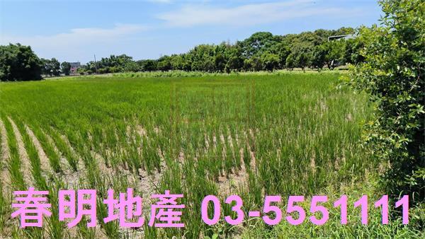 竹北農地-3