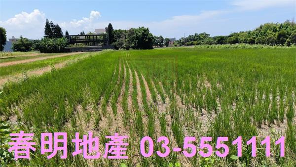 竹北農地-5