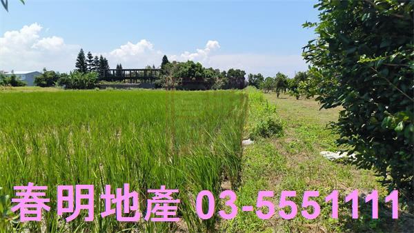 竹北農地-8
