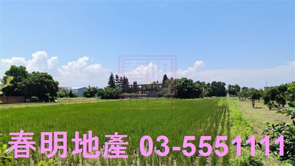 竹北農地-9