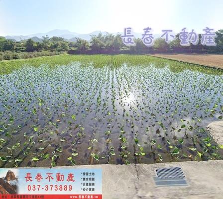 公館農地-1