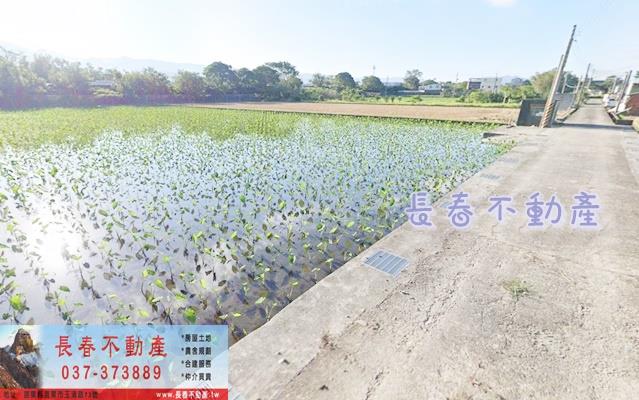公館農地-2