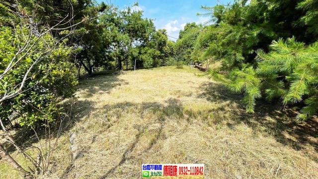 新竹農地-11