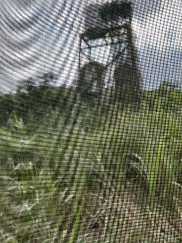 桃園平鎮農地-4