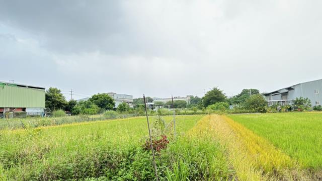 桃園蘆竹農地-6