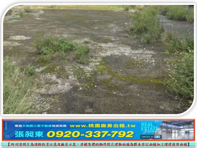 桃園建地-2