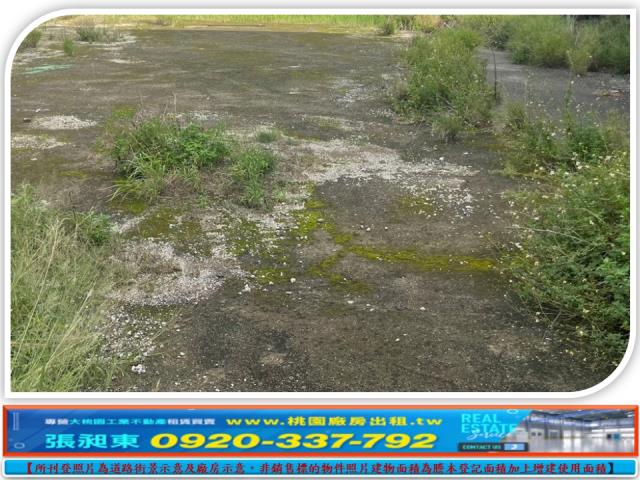 桃園大園建地-1