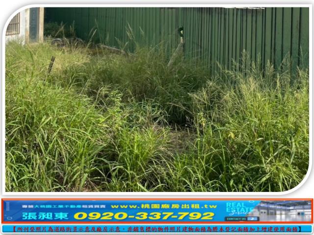 桃園大園建地-2