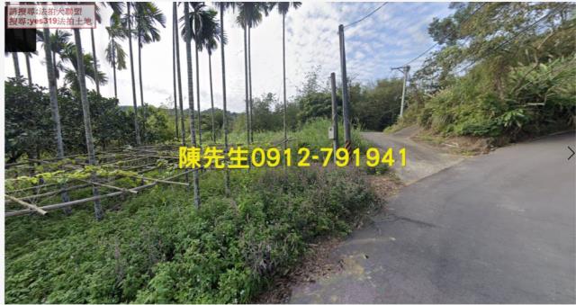 新北農地法拍-2
