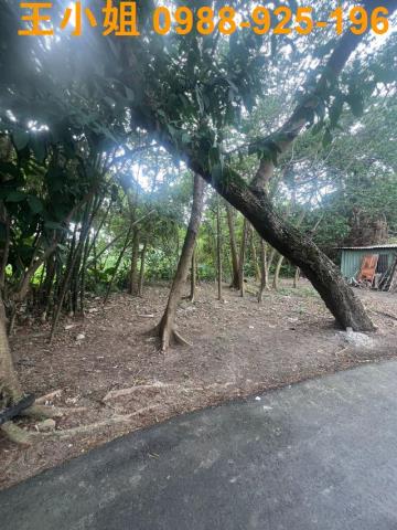 桃園八德建地-3