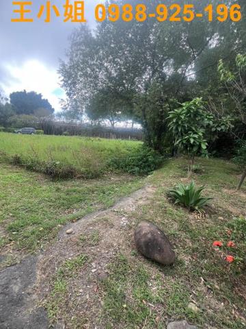 桃園八德建地-6