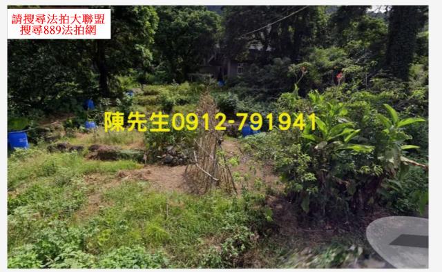 新北淡水農地-15