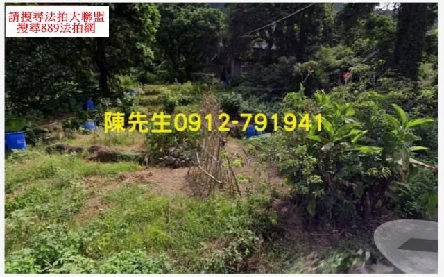 新北淡水農地-9