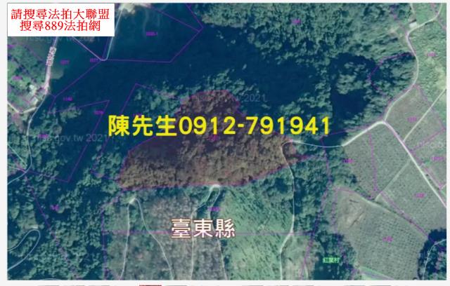 台東延平法拍山坡地-13