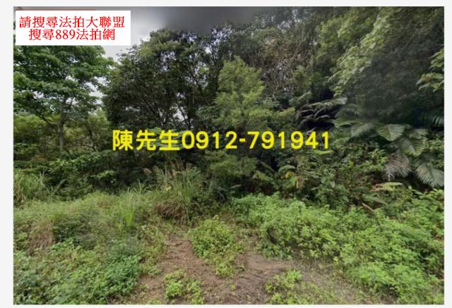 台東延平法拍山坡地-1