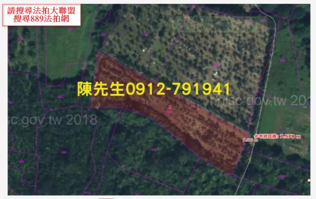 花蓮壽豐農地法拍-13