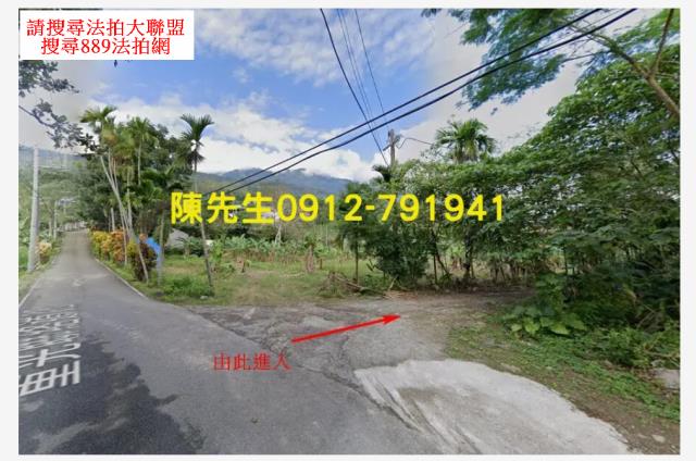 花蓮壽豐農地法拍-9
