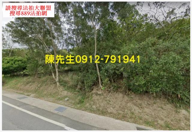 花蓮富里山坡地拍賣-11