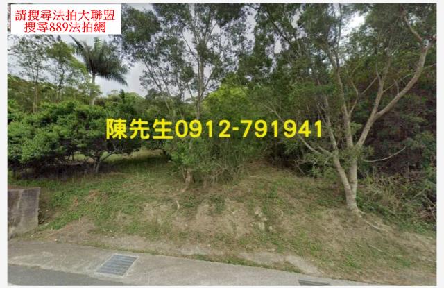花蓮富里山坡地拍賣-1