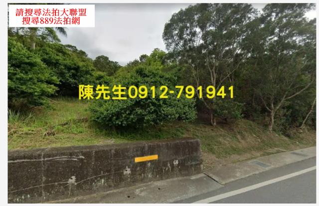 花蓮富里山坡地拍賣-2