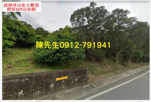 花蓮富里山坡地拍賣-4