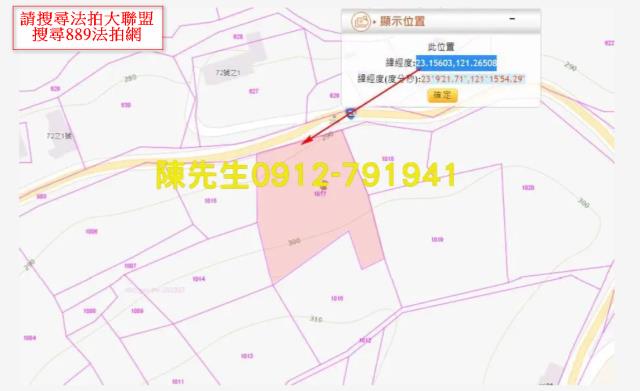 花蓮富里山坡地拍賣-5