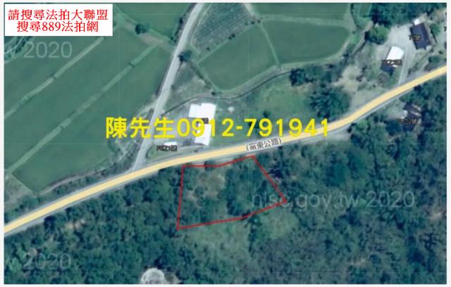 富里法拍山坡地-13