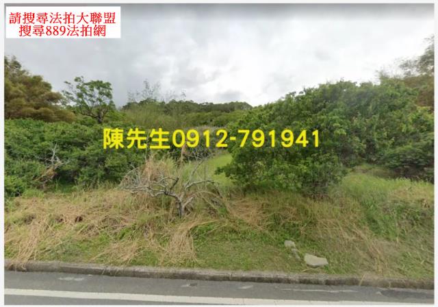 富里法拍山坡地-1