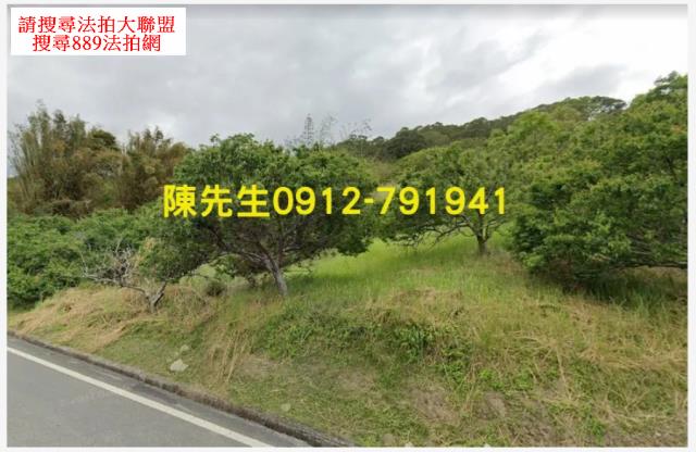 富里法拍山坡地-2