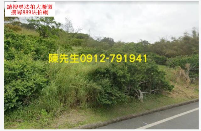 富里法拍山坡地-3