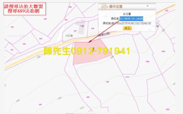 富里法拍山坡地-6
