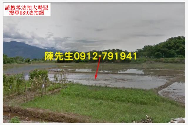 富里拍賣山坡地-10