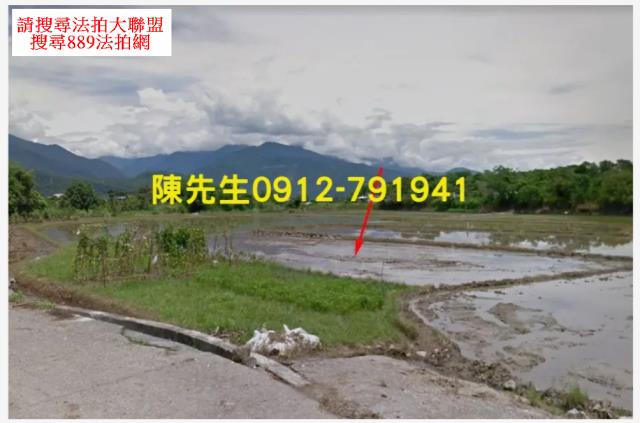 富里拍賣山坡地-9