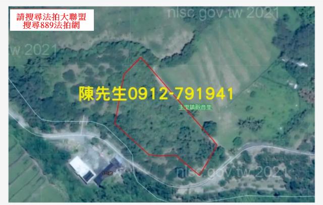 玉里法拍農地-6