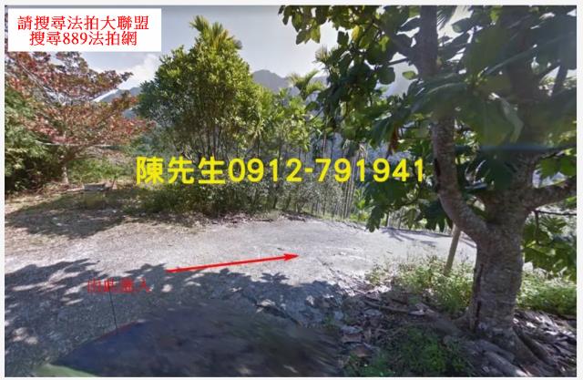 玉里農地法拍-2