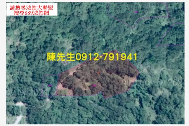 玉里農地法拍-4