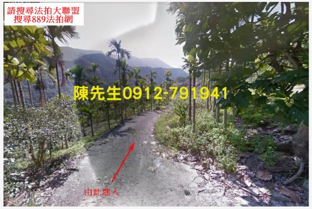 玉里農地法拍-9