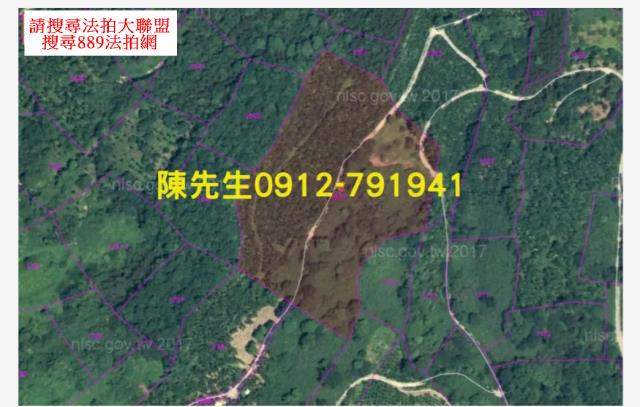 花蓮萬榮法拍農地-12