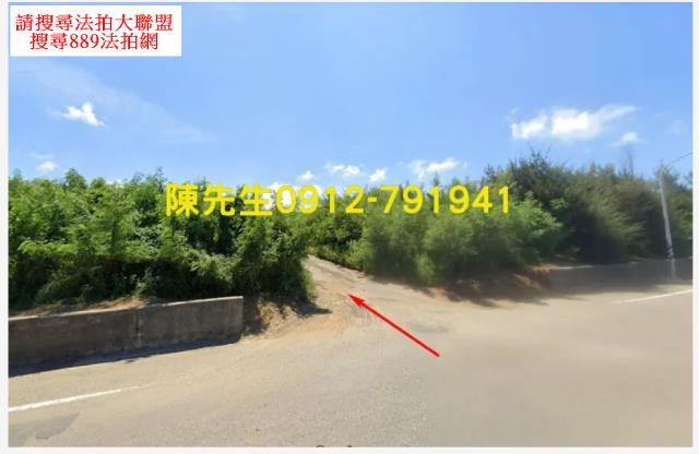 湖西法拍農地-11