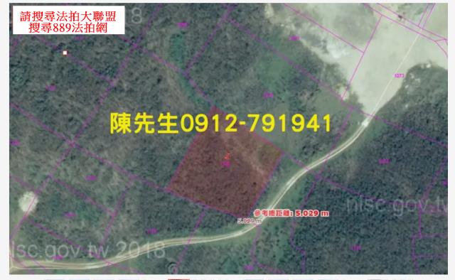 湖西法拍農地-14
