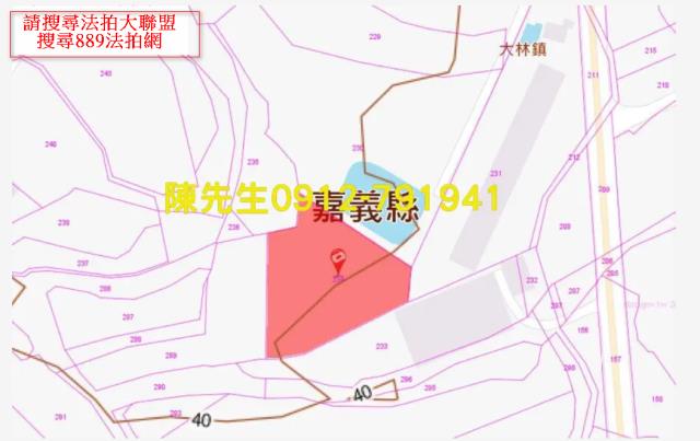 嘉義法拍農地-13