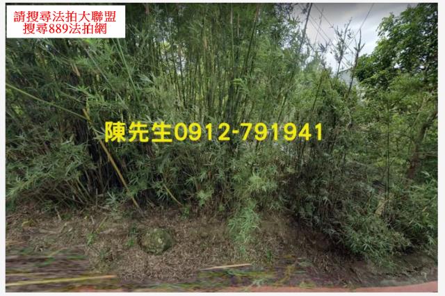 新竹橫山拍賣建地-13