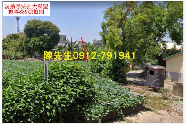 嘉義鹿草法拍建地-9