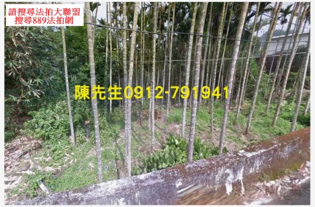 南投鹿谷法拍農地-1