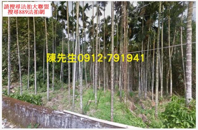 南投鹿谷法拍農地-2