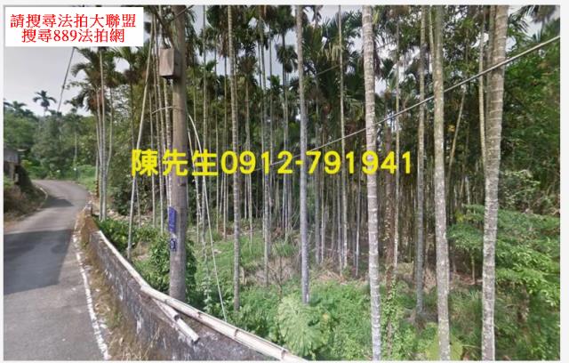 南投鹿谷法拍農地-3
